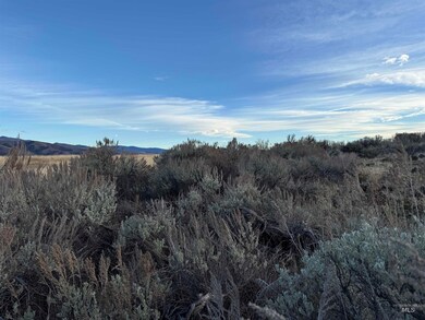 TBD Deer Loop Rd (32 Ac), Council, ID 83612 - photo 4