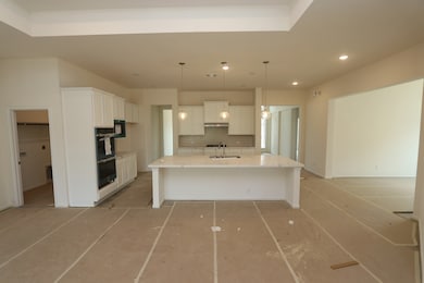 Gourmet kitchen - still under construction!