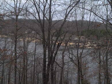 - Aldridge Ln, Bella Vista, AR 72715 - photo 2