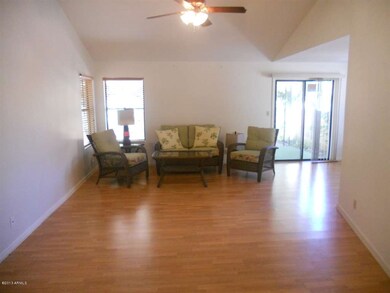 Valuted Ceiling in Great Room