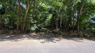 View of local wilderness