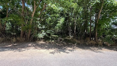 View of local wilderness