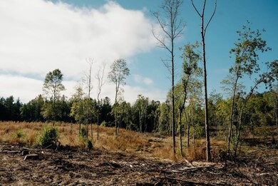 0 Hwy 98 unit 25798787, Beaumont, MS 39476 - photo 7