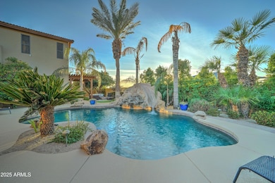 Backyard Oasis