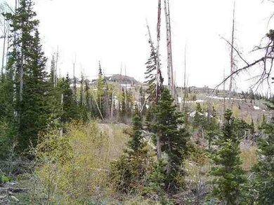 Picture of Neighboring Lot