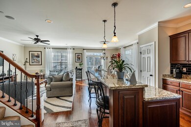 60 New Village Greene Dr, Honey Brook, PA 19344 - photo 4