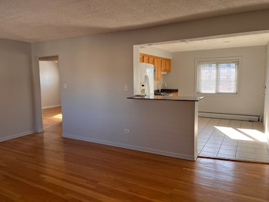 427 S Euclid Ave unit H, Oak Park, IL 60302 - photo 4