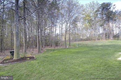 9011 Scott St, Springfield, VA 22153 - photo 4