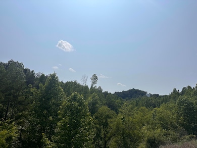 8888 Ky 3041 Bypass & Allison Blvd, Corbin, KY 40701 - photo 7