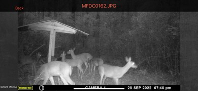 0 N Delray Rd unit 168762, Thomaston, GA 30286 - photo 6