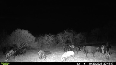 0 County Road 215, McCoy, TX 78113 - photo 3