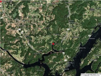 2640 White Elephant Rd, Grant, AL 35747 - photo 6