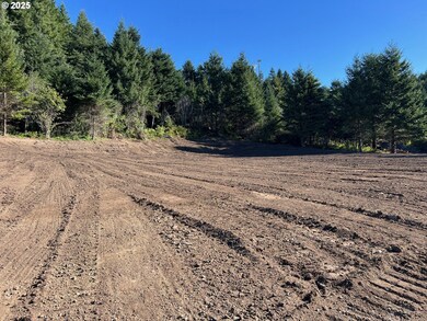 0 Harbor Hills Heights unit 654698490, Brookings, OR 97415 - photo 4