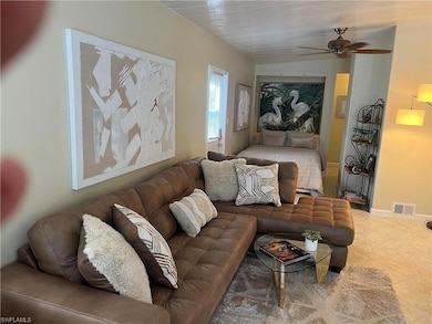 159 Cheetah Dr unit 159, Naples, FL 34114 - photo 7