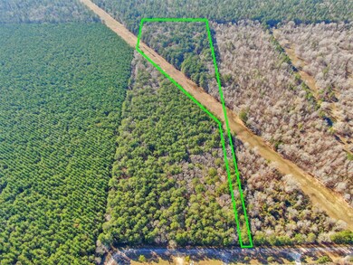 0 Pelican Rd unit 10571863, Shepherd, TX 77371 - photo 6