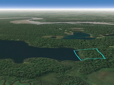 000 Asls 72-064 9 91 Acres, Skwentna, AK 99667 - photo 6