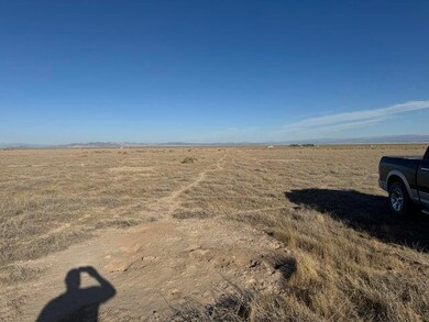 005. 2 Acre - Looking East