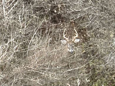 0 Pennsylvania 267, Choconut Township, PA 18818 - photo 4