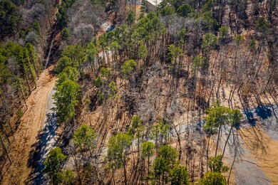 Lot B,C & D Traway Lane Stanfield Rd, Edgemont, AR 72044 - photo 2