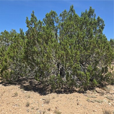 32220 W Conejo Rd, Seligman, AZ 86337 - photo 3