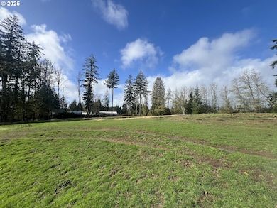 24853 Warren Rd, Rainier, OR 97048 - photo 4