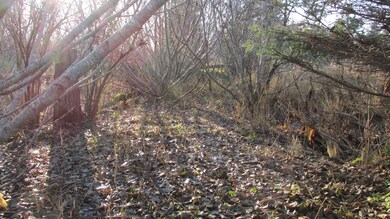 IMG_1937