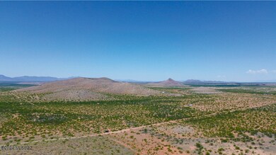 DJI_0168.JPG