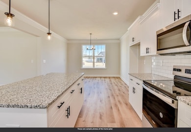 103 Paspalum Ct Lot 1016, Greenwood, SC 29649 - photo 5