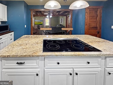 1050 County Line Rd, Griffin, GA 30224 - photo 6