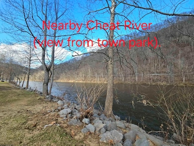 TBD W Catherine St, Rowlesburg, WV 26425 - photo 3