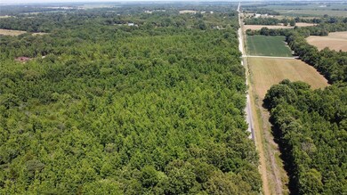 0 Highway 158, Harviell, MO 63945 - photo 5