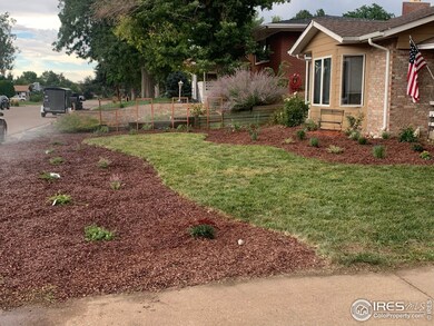 Front yard after update