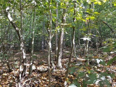 1464 Badin Lake Dr, New London, NC 28127 - photo 3