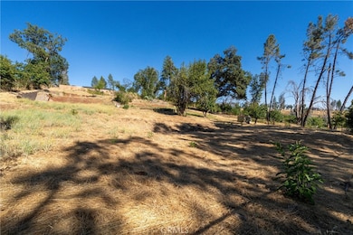 1557 La Grande Vue, Paradise, CA 95969 - photo 5