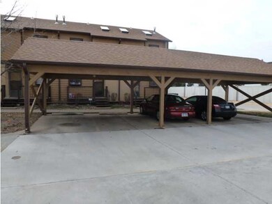 Carport for owner's cars.