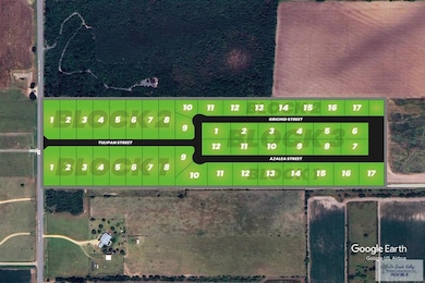 00 Tulipan St unit 1, Harlingen, TX 78550 - photo 4