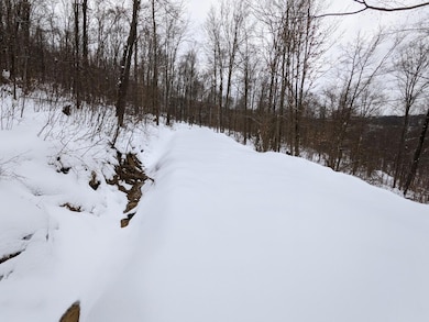 0 Rustic Rd, Pike Township, PA 16833 - photo 2