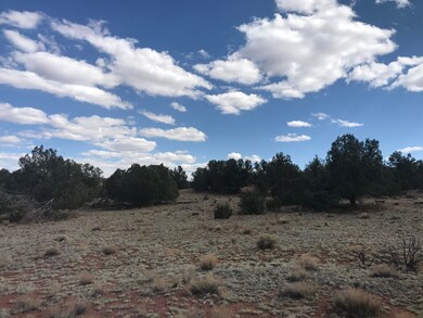 225 Off of Camp Rd, Ash Fork, AZ 86320 - photo 7