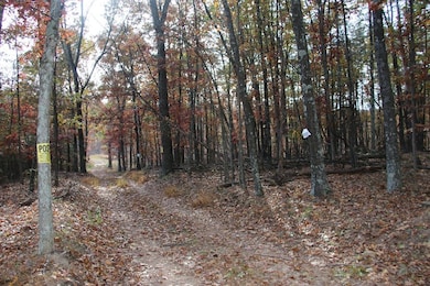 0 Easter Ridge Ln unit LotWP008 23743105, Gainesboro, VA 22603 - photo 3