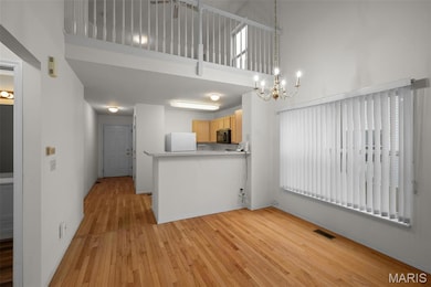 10349 Tiffany Village Circle Dr, Affton, MO 63123 - photo 4