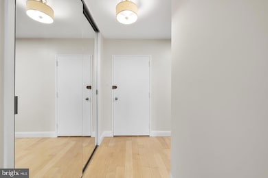 Carrollsburg Square North Tower unit N410, Washington, DC 20024 - photo 3