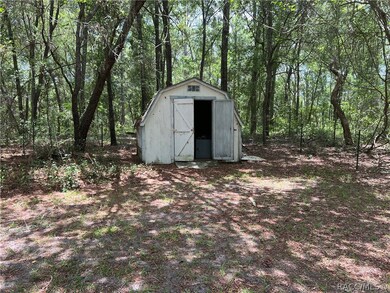 Shed in backyard