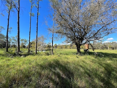 3570 Magnolia Trace, Labelle, FL 33935 - photo 3