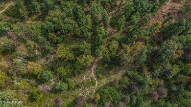 0 Ivey Rd, Crossville, TN 38571 - photo 5