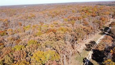 54 Acres Whitetail Way, Cole Township, MO 65338 - photo 7