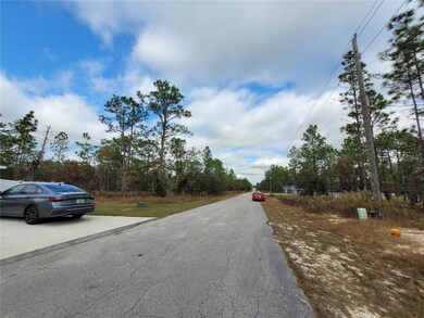 0 SW Winding Hills Rd unit MFROM714400, Dunnellon, FL 34431 - photo 5
