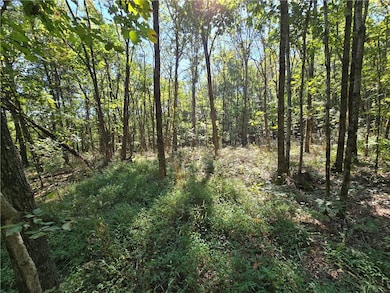 0000 Nc 6277, Jasper, AR 72641 - photo 4