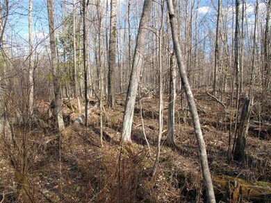 Lot 3 Mirror Lake Rd, Berlin, VT 05602 - photo 7