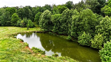 0 David Patterson Rd, Lutts, TN 38471 - photo 5