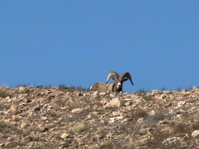 1609 Colorado 141, Whitewater, CO 81527 - photo 3